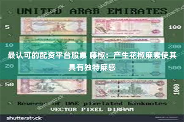 最认可的配资平台股票 藤椒：产生花椒麻素使其具有独特麻感