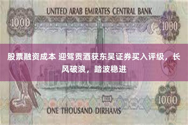 股票融资成本 迎驾贡酒获东吴证券买入评级，长风破浪，踏波稳进