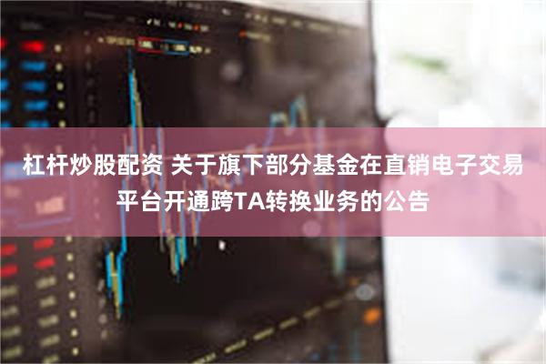 杠杆炒股配资 关于旗下部分基金在直销电子交易平台开通跨TA转换业务的公告