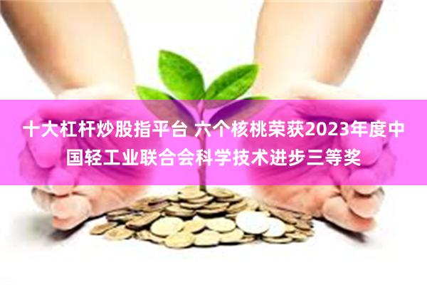 十大杠杆炒股指平台 六个核桃荣获2023年度中国轻工业联合会科学技术进步三等奖