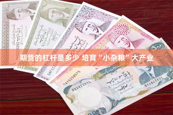 期货的杠杆是多少 培育“小杂粮”大产业