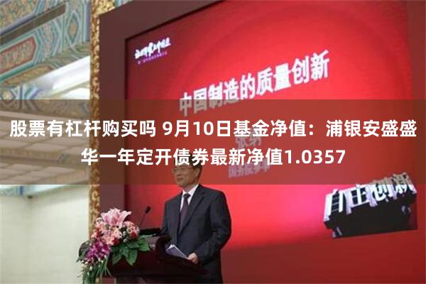 股票有杠杆购买吗 9月10日基金净值：浦银安盛盛华一年定开债券最新净值1.0357