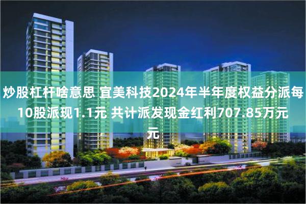 炒股杠杆啥意思 宜美科技2024年半年度权益分派每10股派现1.1元 共计派发现金红利707.85万元