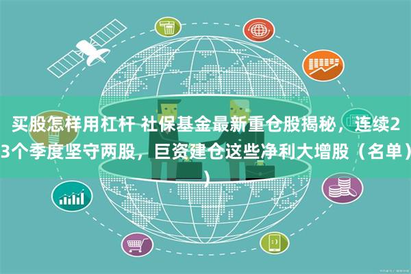 买股怎样用杠杆 社保基金最新重仓股揭秘，连续23个季度坚守两股，巨资建仓这些净利大增股（名单）