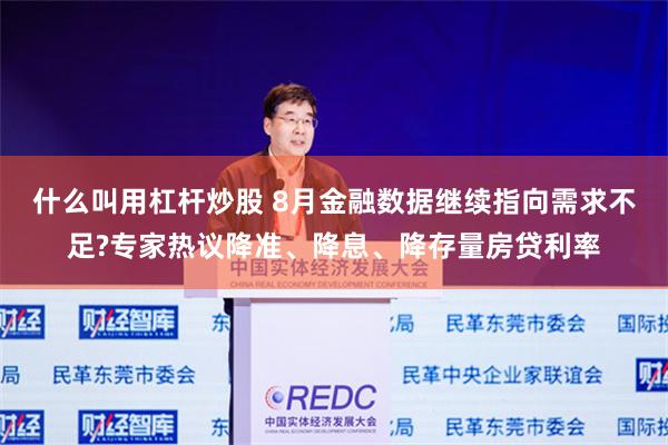 什么叫用杠杆炒股 8月金融数据继续指向需求不足?专家热议降准、降息、降存量房贷利率