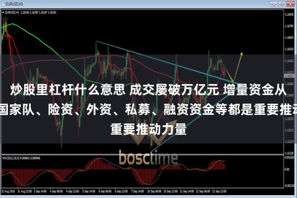 炒股里杠杆什么意思 成交屡破万亿元 增量资金从这来 国家队、险资、外资、私募、融资资金等都是重要推动力量
