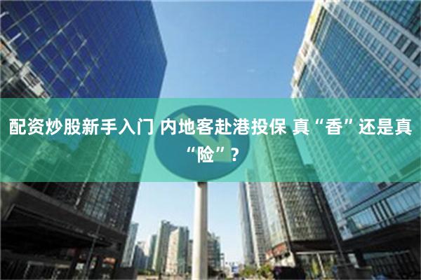 配资炒股新手入门 内地客赴港投保 真“香”还是真“险”？