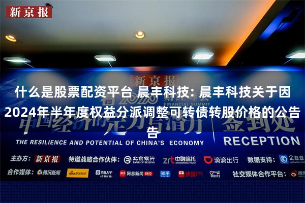 什么是股票配资平台 晨丰科技: 晨丰科技关于因2024年半年度权益分派调整可转债转股价格的公告