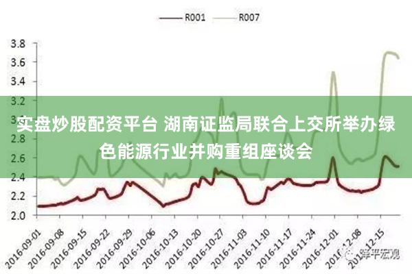 实盘炒股配资平台 湖南证监局联合上交所举办绿色能源行业并购重组座谈会