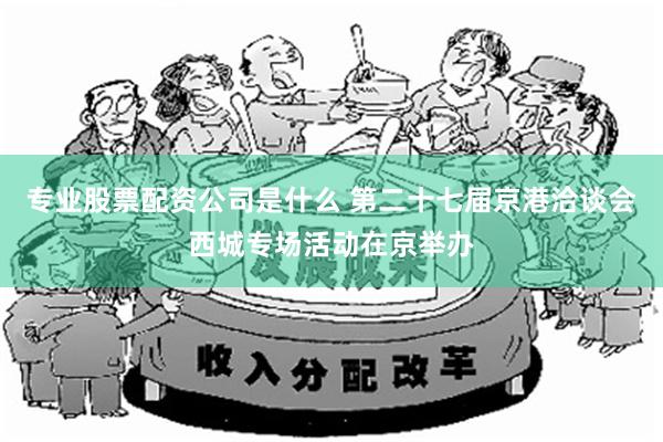 专业股票配资公司是什么 第二十七届京港洽谈会西城专场活动在京举办