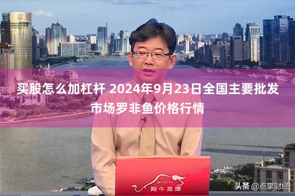 买股怎么加杠杆 2024年9月23日全国主要批发市场罗非鱼价格行情