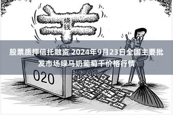 股票质押信托融资 2024年9月23日全国主要批发市场绿马奶葡萄干价格行情
