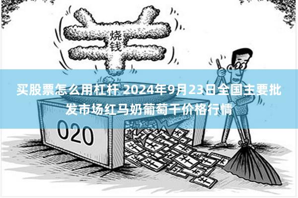 买股票怎么用杠杆 2024年9月23日全国主要批发市场红马奶葡萄干价格行情