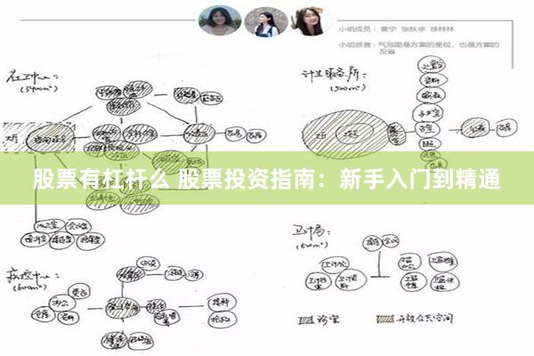 股票有杠杆么 股票投资指南：新手入门到精通