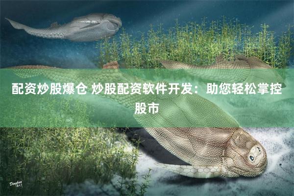 配资炒股爆仓 炒股配资软件开发：助您轻松掌控股市