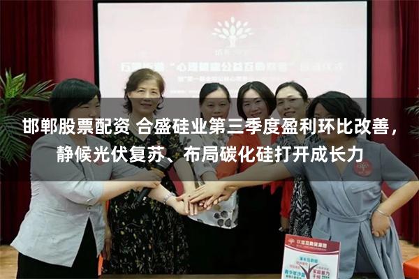 邯郸股票配资 合盛硅业第三季度盈利环比改善，静候光伏复苏、布局碳化硅打开成长力