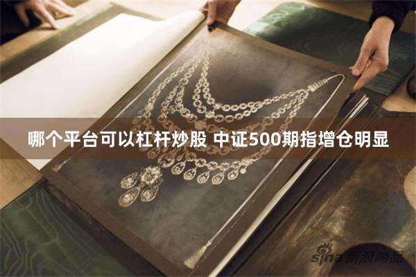 哪个平台可以杠杆炒股 中证500期指增仓明显
