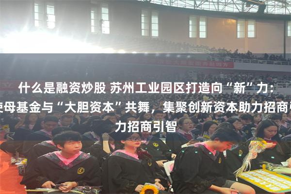 什么是融资炒股 苏州工业园区打造向“新”力：天使母基金与“大胆资本”共舞，集聚创新资本助力招商引智