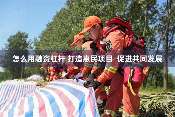 怎么用融资杠杆 打造惠民项目  促进共同发展