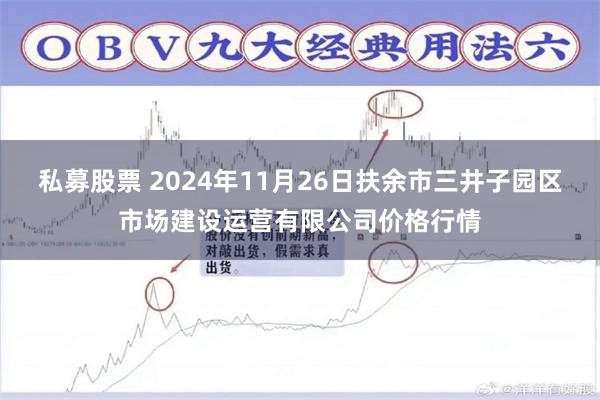私募股票 2024年11月26日扶余市三井子园区市场建设运营有限公司价格行情