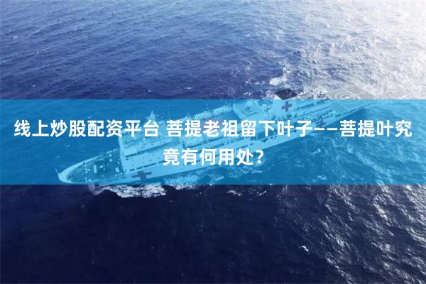 线上炒股配资平台 菩提老祖留下叶子——菩提叶究竟有何用处？