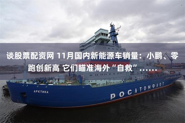 谈股票配资网 11月国内新能源车销量：小鹏、零跑创新高 它们瞄准海外“自救”……