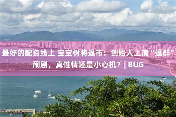 最好的配资线上 宝宝树将退市：创始人上演“退群”闹剧，真性情还是小心机？| BUG