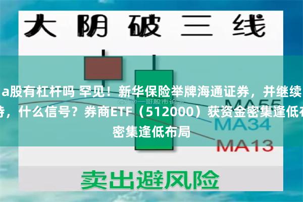 a股有杠杆吗 罕见！新华保险举牌海通证券，并继续增持，什么信号？券商ETF（512000）获资金密集逢低布局