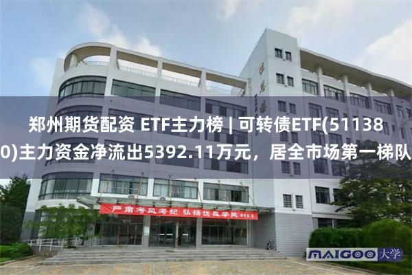 郑州期货配资 ETF主力榜 | 可转债ETF(511380)主力资金净流出5392.11万元，居全市场第一梯队