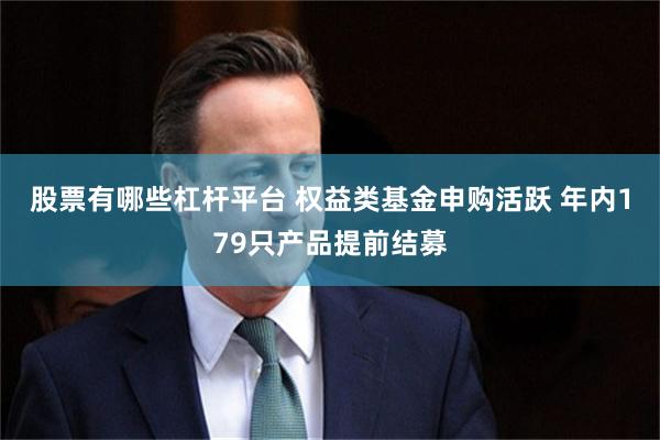 股票有哪些杠杆平台 权益类基金申购活跃 年内179只产品提前结募