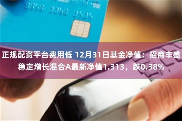 正规配资平台费用低 12月31日基金净值：招商丰盛稳定增长混合A最新净值1.313，跌0.38%