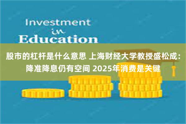 股市的杠杆是什么意思 上海财经大学教授盛松成：降准降息仍有空间 2025年消费是关键