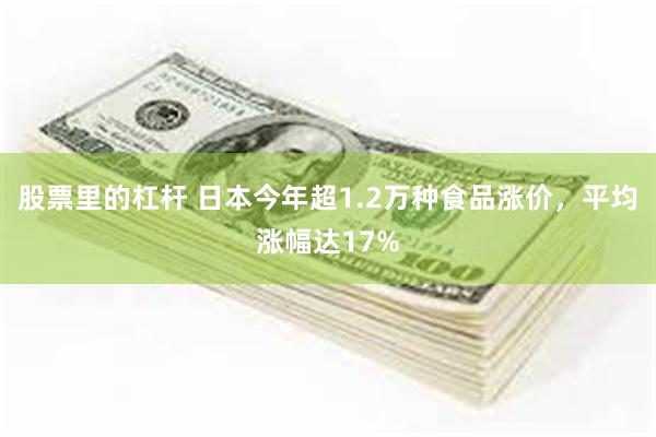 股票里的杠杆 日本今年超1.2万种食品涨价，平均涨幅达17%
