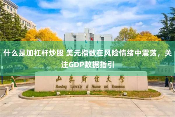 什么是加杠杆炒股 美元指数在风险情绪中震荡，关注GDP数据指引