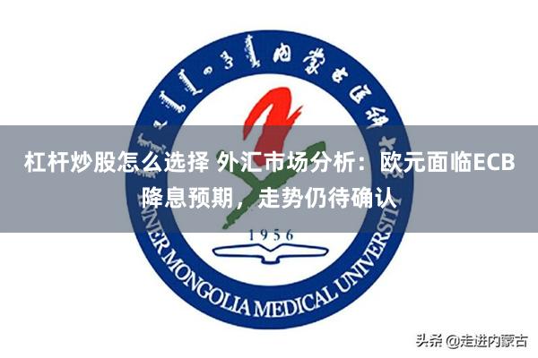 杠杆炒股怎么选择 外汇市场分析：欧元面临ECB降息预期，走势仍待确认