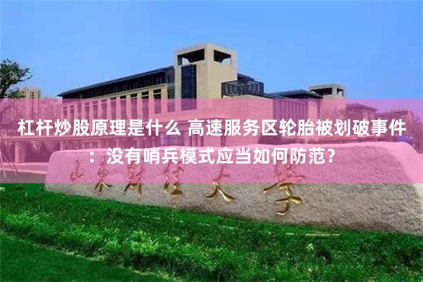 杠杆炒股原理是什么 高速服务区轮胎被划破事件：没有哨兵模式应当如何防范？