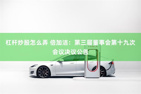 杠杆炒股怎么弄 倍加洁：第三届董事会第十九次会议决议公告