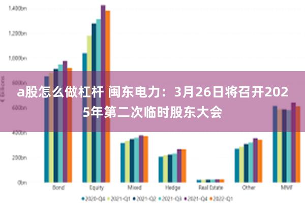 a股怎么做杠杆 闽东电力：3月26日将召开2025年第二次临时股东大会