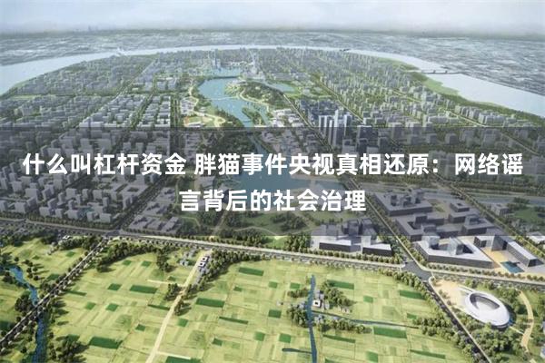 什么叫杠杆资金 胖猫事件央视真相还原：网络谣言背后的社会治理