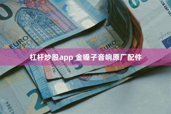 杠杆炒股app 金嗓子音响原厂配件