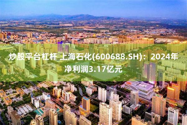炒股平台杠杆 上海石化(600688.SH)：2024年净利润3.17亿元