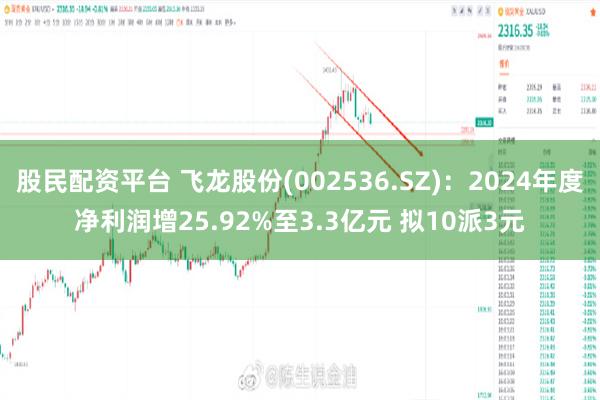 股民配资平台 飞龙股份(002536.SZ)：2024年度净利润增25.92%至3.3亿元 拟10派3元