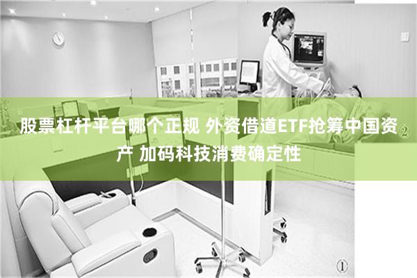股票杠杆平台哪个正规 外资借道ETF抢筹中国资产 加码科技消费确定性
