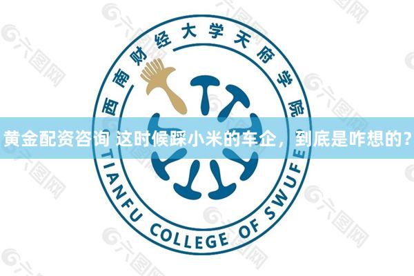 黄金配资咨询 这时候踩小米的车企，到底是咋想的？