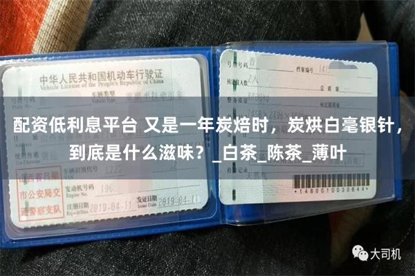 配资低利息平台 又是一年炭焙时，炭烘白毫银针，到底是什么滋味？_白茶_陈茶_薄叶