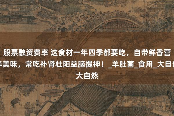 股票融资费率 这食材一年四季都要吃，自带鲜香营养美味，常吃补肾壮阳益脑提神！_羊肚菌_食用_大自然