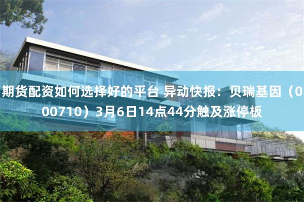 期货配资如何选择好的平台 异动快报：贝瑞基因（000710）3月6日14点44分触及涨停板