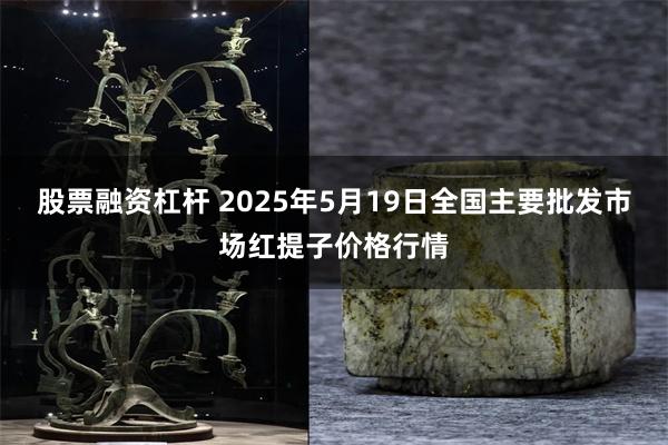 股票融资杠杆 2025年5月19日全国主要批发市场红提子价格行情