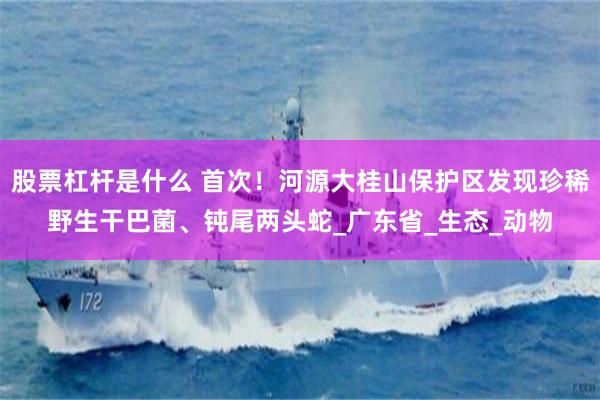 股票杠杆是什么 首次！河源大桂山保护区发现珍稀野生干巴菌、钝尾两头蛇_广东省_生态_动物