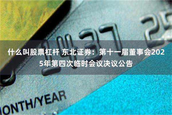 什么叫股票杠杆 东北证券：第十一届董事会2025年第四次临时会议决议公告